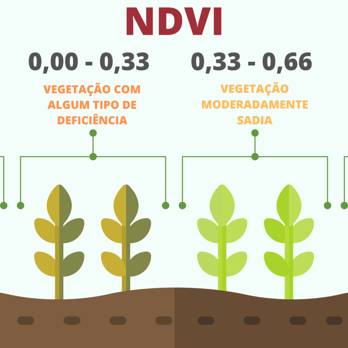 Aula de Geografia: Vegetação 