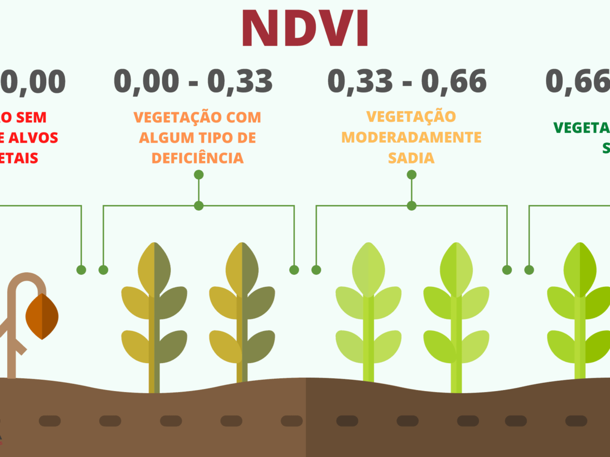 FAÇA ISSO PARA SALVAR TRADUÇÕES IMPORTANTES PARA TER ACESSO RÁPIDO