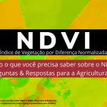 (GeografiaDasCoisas)Banner_artigo_NDVI